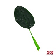 Eco Shop Artificial Leaf