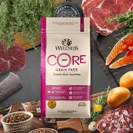 Wellness CORE Grain-Free Formula Dry Cat Food Adult
