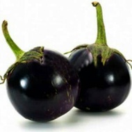 Biji Benih Sayur Terong Bulat Terong Ungu F1 Starlight