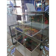 Glass Aquarium/Aquarium Kaca 2ft/2.5ft/3ft/4ft/4x2ft (Tolong Tinggalkan No Tel Utk Penghantaran)