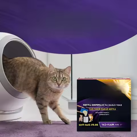 ICUTE-Slide Easy Clean-Up Clumping Cat Litter, Scented, 14 Lbs