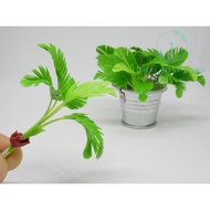 Palm Tree Miniature Clay Decoration Doll House Miniature House