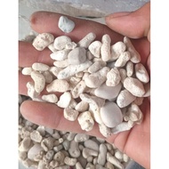 1kg coral stone/ coral stone/ water filter ginger coral stone