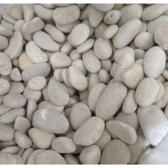 White Coral Stone Brush Stone/ Ideal Size Coral Stone/ for Garden Decoration Natural Decoration