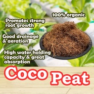 GM4U Coco Peat Halus Cocopit Sabut Kelapa Tanah Cocopeat Coco Peat Murah Cocopeat Sabut Kelapa Hancu