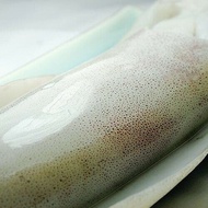【幸福小胖】鮮凍軟絲 2-3人份10隻(300g～400g/隻)
