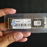 [USED] M.2 SATA 256GB SSD BODY