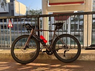 Giant propel adv 1 2024 冰梅粉