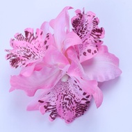 1 PC Fashion Flowers Hair Clips Gift Sand Beach Colorful 10 Colors Handmade Butterfly Orchid Hair Cl