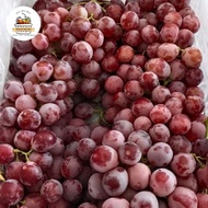 Buah anggur red globe 1 krat / buah anggur import