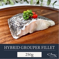 [Batang King] Hybrid Grouper Fillet (龙虎斑鱼柳）