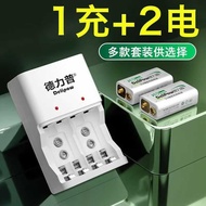 Delip 9V Battery Rechargeable 280mah Square Ni-MH Rechargeable Battery 6F22 Suitable for Multimeter 