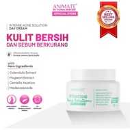Animate Intense Acne Solution DAY Cream 10 gr