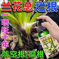 有機肥 花肥 開花肥 肥料 氮磷鉀 磷鉀肥 磷酸二氫鉀 蘭花黃葉專用營養液免稀釋防黃葉焦尖黑斑軟腐病催芽催花蘭花肥料