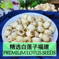 【福建】白莲子 FUJIAN LOTUS SEED / KACANG TERATAI 100G