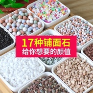 [30Hot Sale1917Pieces]Succulent Special Nutrient Soil Ceramsite Vermiculite Perlite Top Dressing Sto