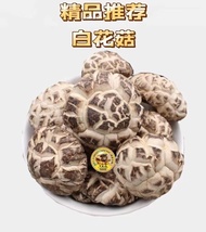 🍄特级白花菇🍄
朵型圆润 完整包满 ，营养美味 食之脆口，肉厚，鲜美。
✅️一包200g
✅️3-4cm