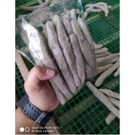 KEREPOK LOSONG KELANTAN