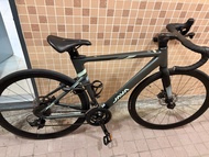 JAVA Auriga 碳纖維 碟煞 公路車