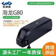 Battery Electric Vehicle Wholesale Hailong 36V20AH48V20AH Bicycle Lithium Battery G80 with Mountain 