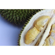 Durian Puree