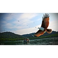 Island Hopping Tour Pony Holiday