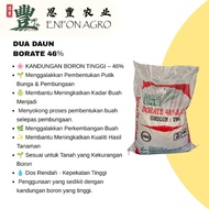 DUA DAUN BORATE 46% (1KG REPACKING)