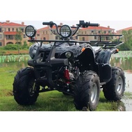 Malaysia 48V Electric Four-Wheel Off-Road/Beach Motorcycle ATV 8 / 6 Inch Tires All-Terrain Vehicle For Adults And Kids