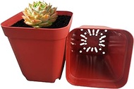 RooTrimmer 120-Pack 2.7"x2.7" Square Plastic Nursery Pots 3" Deep Succulent Pots Small Flower Planter Seeds Starter Germination Pots with Drainage (7cm Brick Red)
