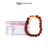5 Face Rudraksha Bracelet With Certificate - Free Size (Unisex)