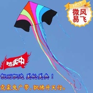 Flying Colorful Kite Flying Workshop Flying Kite Flying Workshop Kite Children Simple Handmade Kite