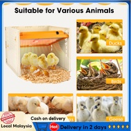 【Local delivery】Brooder Heater For Chicks, Chick Brooder Heating Plate With Easy Clean Plate 10" X 1
