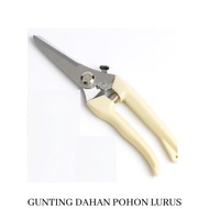 Gunting Dahan Ranting Pruning Alat Potong Dahan Ranting Stek pruning