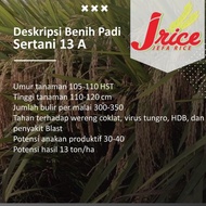 - BIBIT PADI SERTANI 13A BENIH PADI UNGGUL 5 KG -