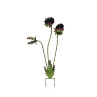 [qwolqn] Metal Venus Flytrap Stake Long-Lasting Faux Monster Plant Carnivorous Plant Stake Eye-Catch