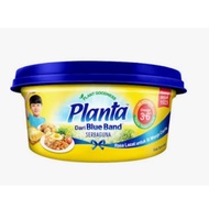 Planta 240g/Planta Serbaguna 240g