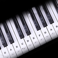QT MELON Transparent Piano Keyboard Sticker 88 Keys Electronic Keyboard Piano Sticker