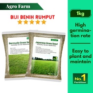 Agro Farm Bermuda Grass Seed / Japanese Grass Seed / Benih Rumput Rumah 1kg