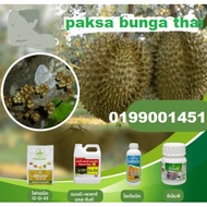 BAJA FOLIAR PAKSA BUNGA BUAH DARI THAILAND