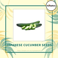 [Seeds] Japanese Cucumber / Timun Jepun Vegetable Seeds ±10 seeds (Seeds only)