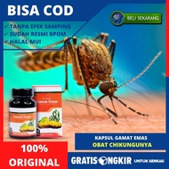 Obat Chikungunya - Infeksi Virus Cikungunya - Flu Tulang - Nyeri Sendi Karena Chikungunya - Kaki Ben
