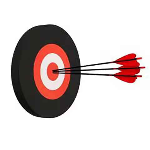 Professional 24/25cm Foam Target For Recurve Arch Compound Bow Archery And Arrow Crossbow Slingshot 