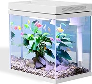 Craftsboys Fish Tank, 2.5 Gallon Nano-Aquarium, Upgrade Filter System and LED Light, for Freshwater