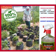 [HOT SALE] RACUN SERANGGA POKOK ORGANIK (750ML)