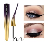 store Eyeliner Liquid Waterproof Smudge-proof Long existing Anti-shake Liquid Eyeliner Eye Makeup