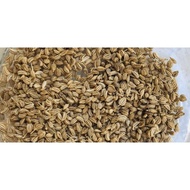 ajwain seeds) 100gr ycrrte 8248cn