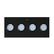 AI Hydra 64 HD LED Light
