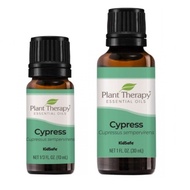 Plant Therapy Cypress Essential Oil