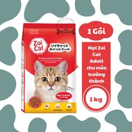 Zoi Cat adult Cat seeds mixed flavor 1kg pack