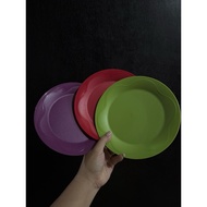 Tupperware Plate / Plate